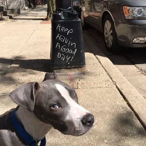 Meet your Posher, Hannah